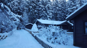 Waldsee-Ferienhaus-mit-Kamin-W-Lan